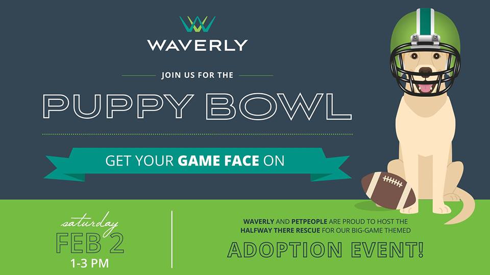 Case Study: When in Doubt, Go with Puppies